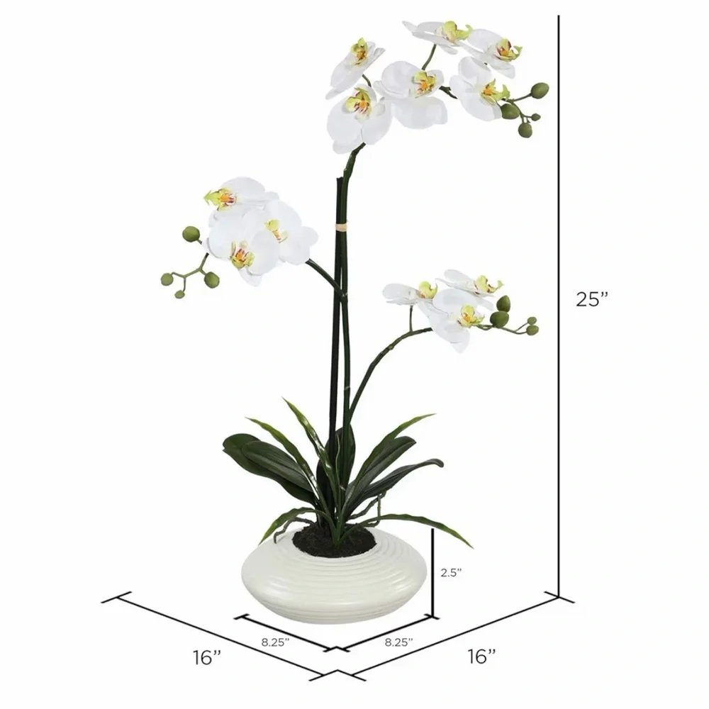 Vickerman enhance your